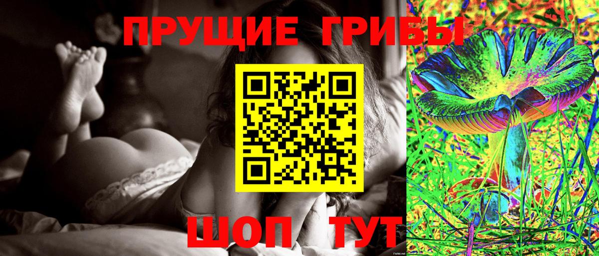 Соль-Илецк  Псилоцибиновые грибы прущие грибы  Вход с VPN 