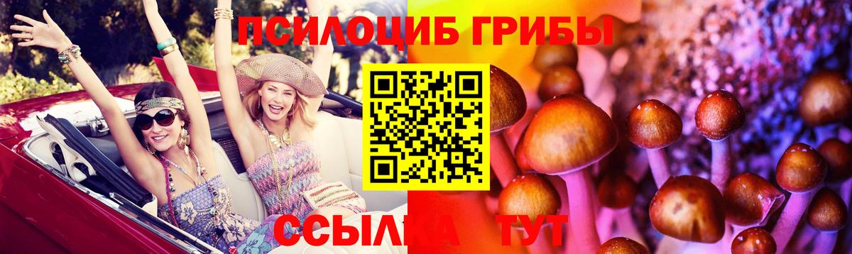 Галлюциногенные грибы прущие грибы Соль-Илецк